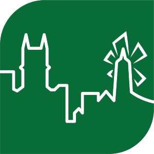 Icon (Green) 300